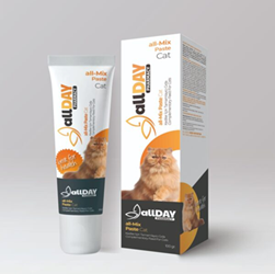 ALLDAY MIX [PHARMACY PASTE] 100 GRAMS